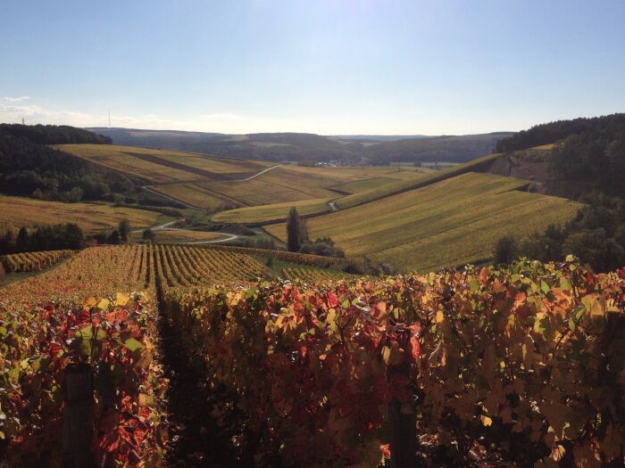 Champagne Jean Josselin.jpg Champagne Jean Josselin