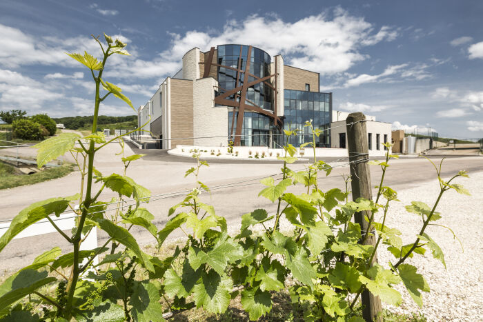 Champagne Gaston Cheq.jpg Champagne Gaston Cheq