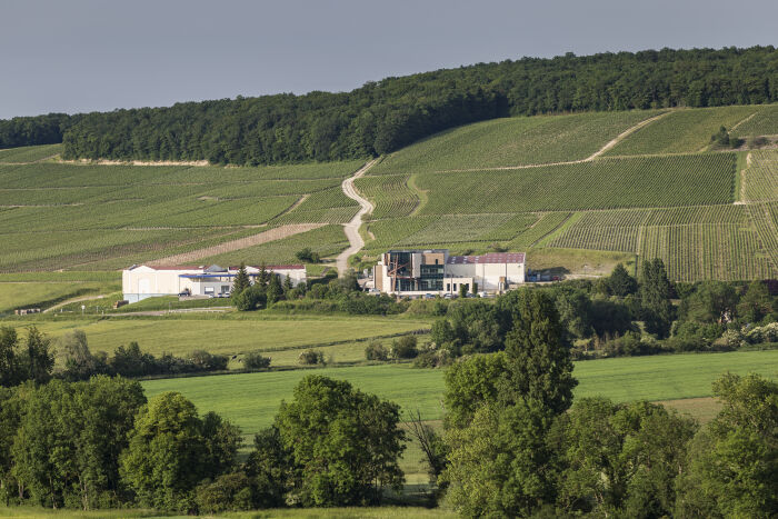 Champagne Gaston Cheq.jpg Champagne Gaston Cheq