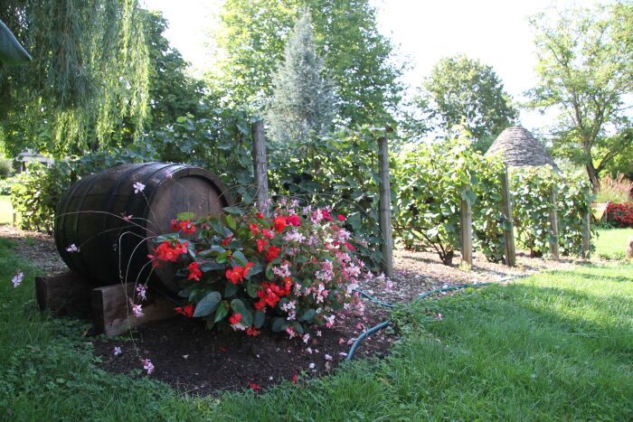 Champagne Christophe.jpg Champagne Christophe