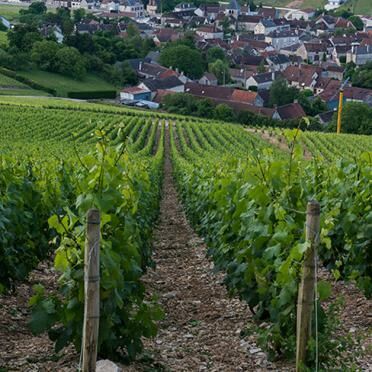 Champagne-Gremillet.jpg Champagne Gremillet