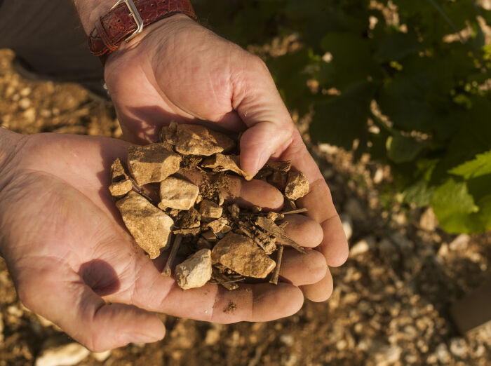 Champagne-Gremillet.jpg Champagne Gremillet