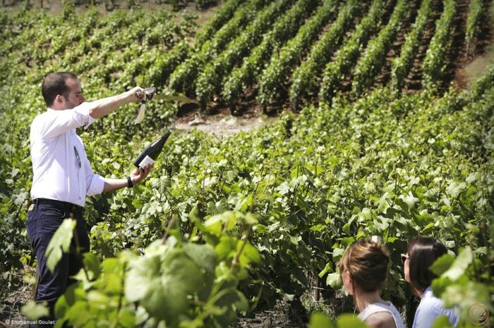 Sabrage vigne © Emmanuel goulet.jpg © Emmanuel Goulet