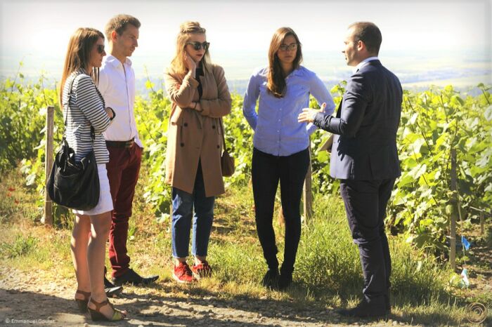 vignoble description©OenoSpheres.jpg ©OenoSpheres