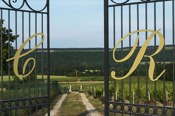 247651_grilles-clos-rocher-champagne